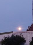 IMG_20220515_212454.jpg