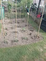 IMG_20220516_172259.webp