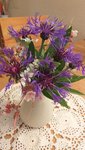 20220517_091233.jpg
