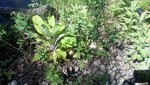 20220515_123123.jpg