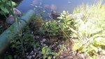 20220515_123131.jpg
