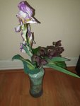 Iris in Vase_01.jpg