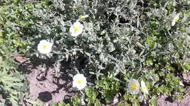 17.051.webp