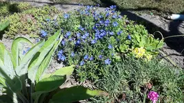 17.054.webp