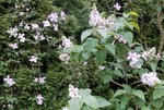 DSCN3812.JPG
