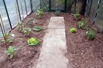 DSCN3813.JPG