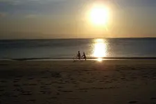 2022_05.webp