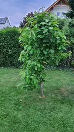 20220517_210652.webp