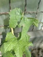 IMG_20220518_101922.jpg