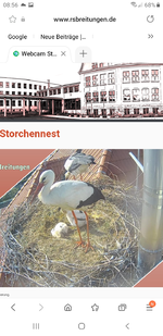 Screenshot_20220517-085612_Samsung Internet.webp