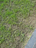 20220518_162133.webp