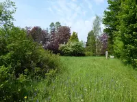 P1070924Gartenübersicht.webp