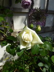 P1080068Kronprinzessin Viktoria.JPG