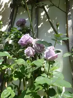 P1080070Azubis.webp