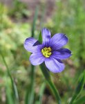 IMG_0888.jpg