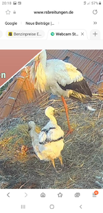 Screenshot_20220518-201837_Samsung Internet.webp