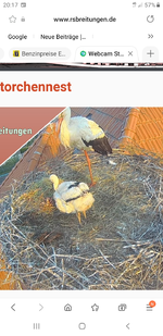 Screenshot_20220518-201759_Samsung Internet.webp