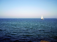 Ostsee 2005.webp