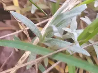 IMG_20220517_130743 (2).webp