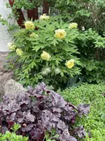 2BD17DD5-EDDB-4175-8B88-570AD5156C7B.webp