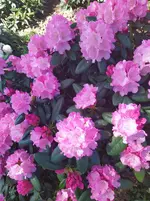 IMG_20220518_121437.webp