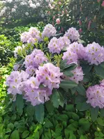 IMG_20220518_121347.webp
