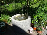 DSC02386.JPG