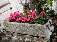 DSC02393.webp