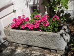 DSC02393.JPG