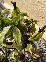 20220519_104912.webp