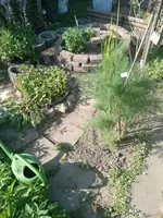 IMG_20220518_172628.webp