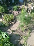 IMG_20220518_172628.jpg