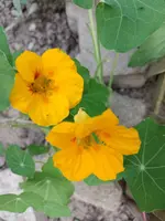 IMG_20220519_191654.webp
