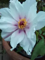 20220517_135706.jpg