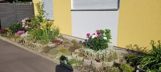 20220520_080542.jpg