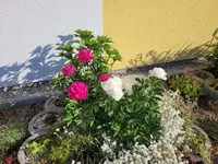 20220520_080556.webp