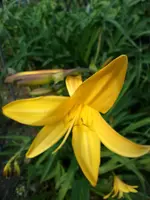 IMG_20220519_181304.jpg