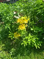 20220520_112943.webp