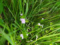 IMG_20220518_195010.webp