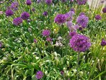 IMG_20220518_125926_1.jpg