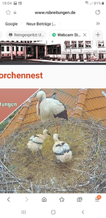 Screenshot_20220520-180426_Samsung Internet.webp