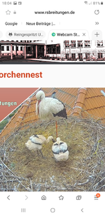 Screenshot_20220520-180418_Samsung Internet.webp