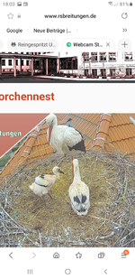 Screenshot_20220520-180400_Samsung Internet.webp