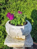 IMG_20220520_182450.webp