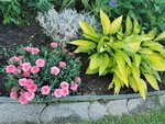 IMG_20220520_182603.jpg