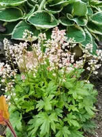 IMG_20220520_182644.webp