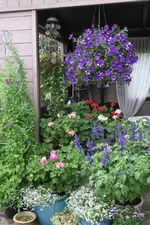 Terasse     2621.webp