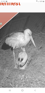 Screenshot_20220520-215237_Samsung Internet.webp