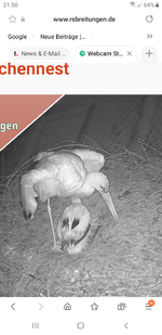 Screenshot_20220520-215029_Samsung Internet.webp