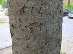 IMG_20220517_090733.jpg